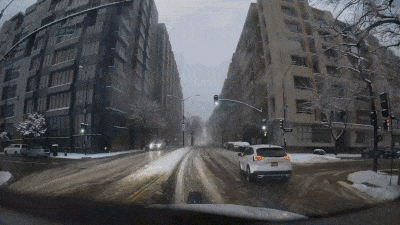cosmostransfer1.gif